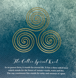 Blank Card - Celtic Spiral Knot