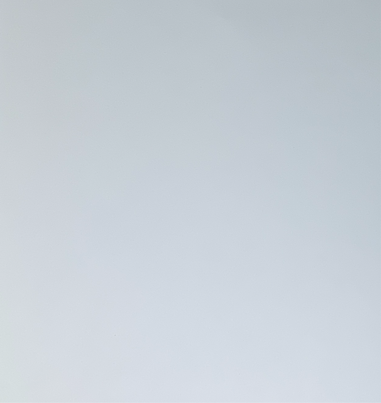 Communion Card - Tree Of Faith