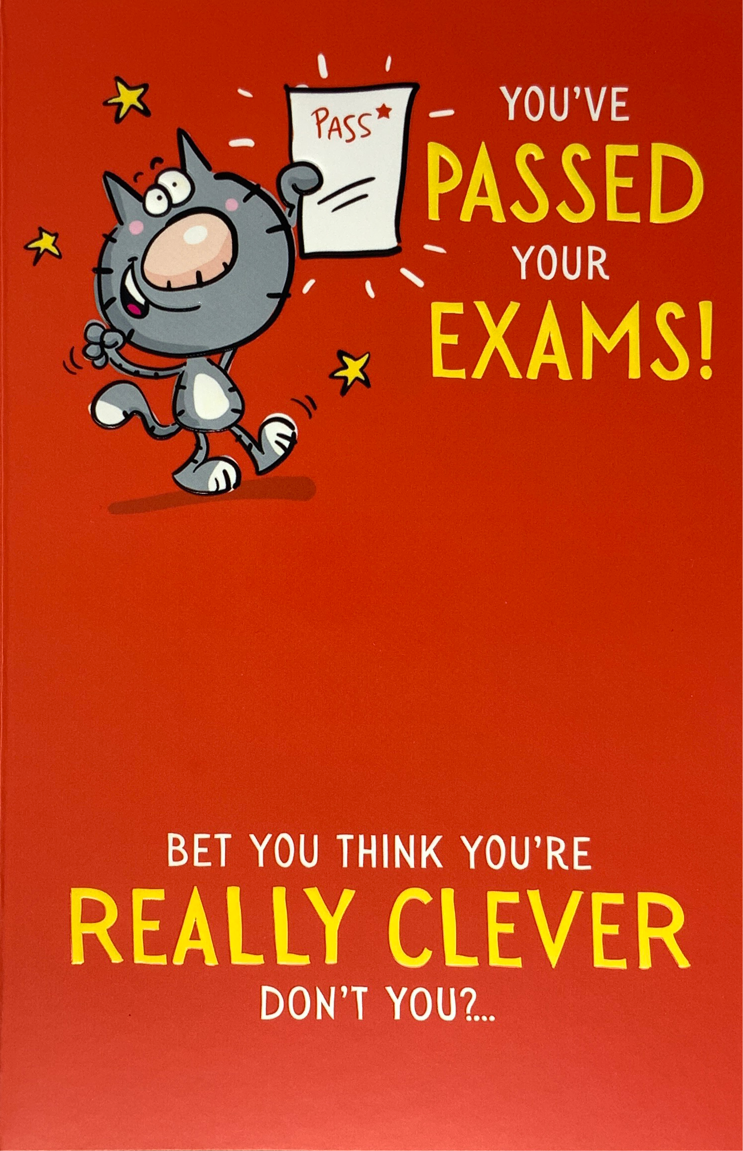 Exam Card - A Happy Cartoon Cat