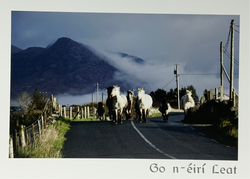 Catherine Dunne Card - May You Succeed