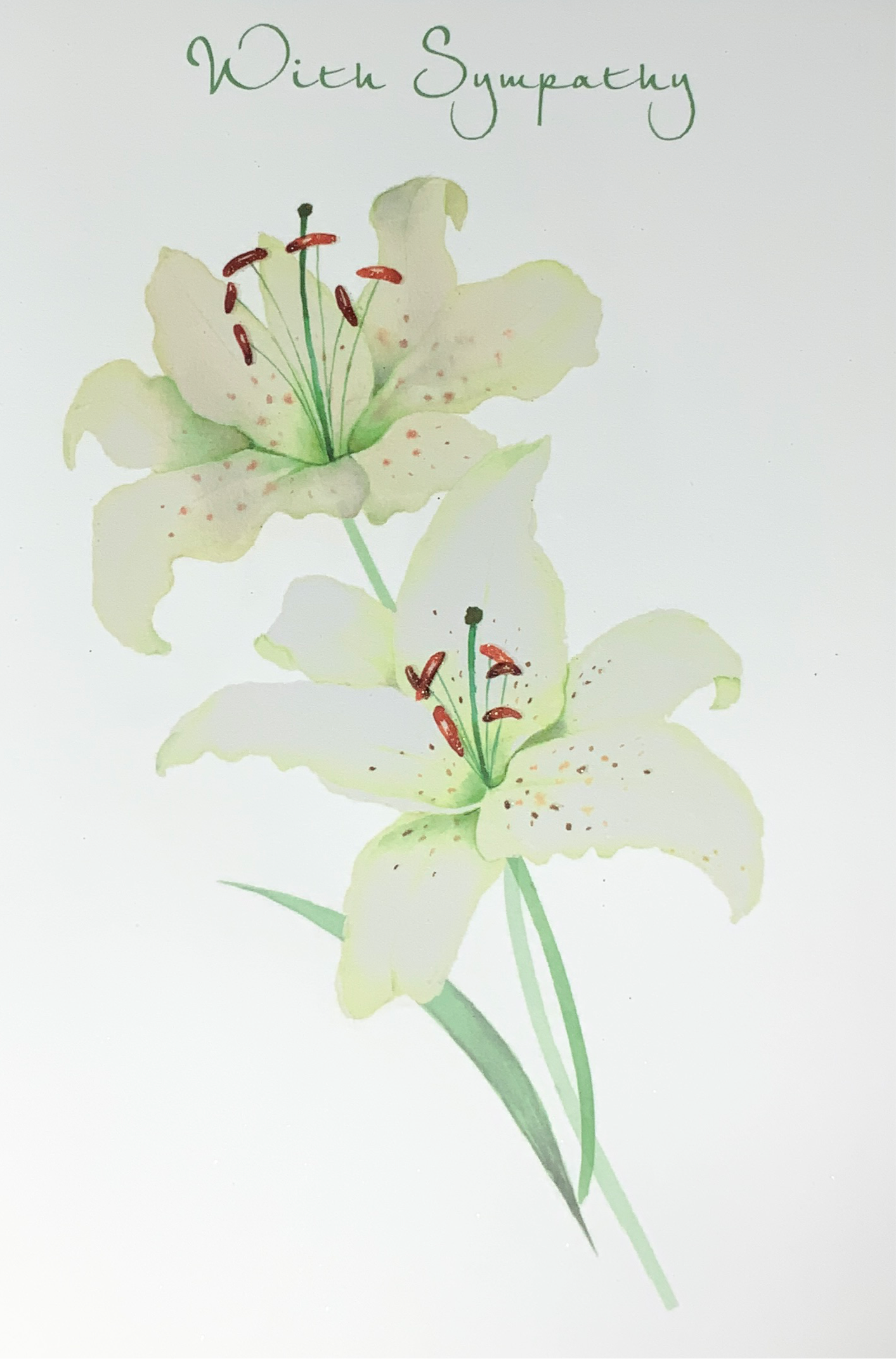 Sympathy Card - Two White Lillies & A White Front